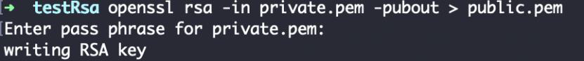 Terminal output of openssl rsa deriving public.pem