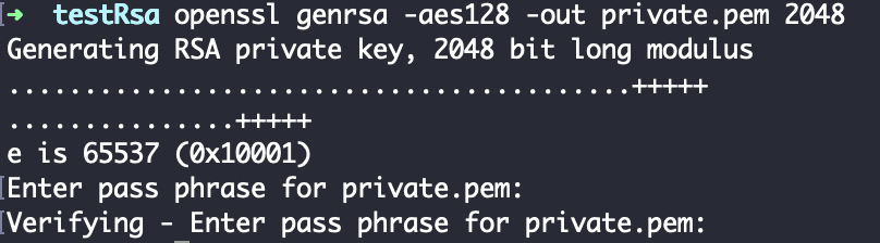 Terminal output of openssl genrsa generating private.pem